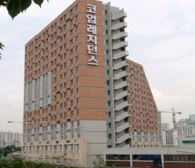 100.jpg