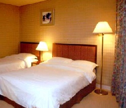 08.jpg