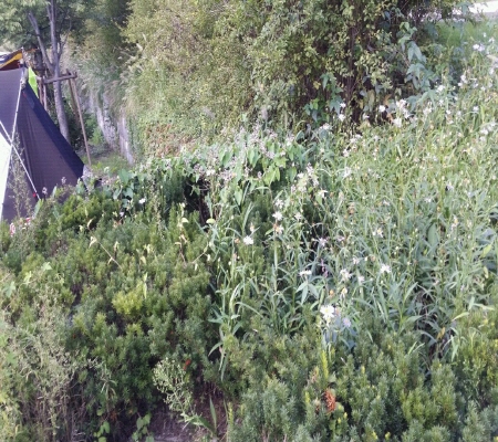 20140913_165247.jpg
