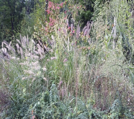 20140913_164753.jpg
