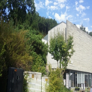 20140909_170126.jpg