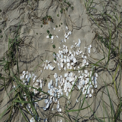 20140921_130154.jpg
