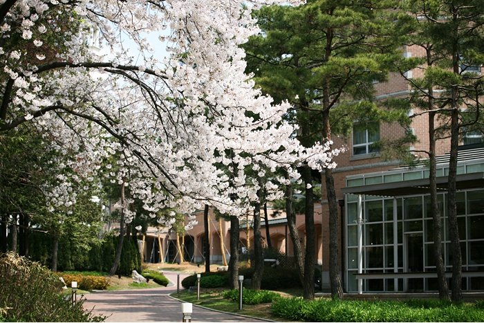20140129_134854.jpg