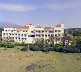 05.jpg