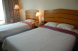 a208.jpg